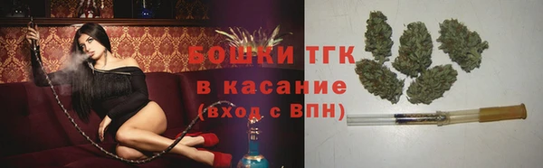 бошки Аркадак