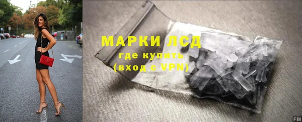 прущие грибы Балабаново