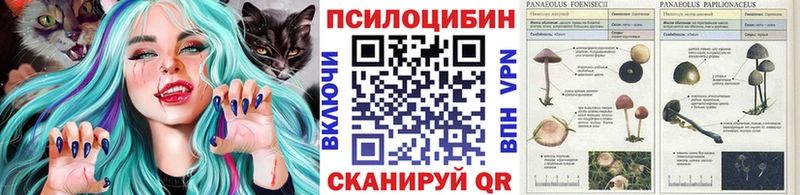 Галлюциногенные грибы прущие грибы  гидра ТОР  Валуйки 